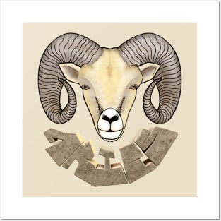 Front and Back Aries The Ram Posters and Art